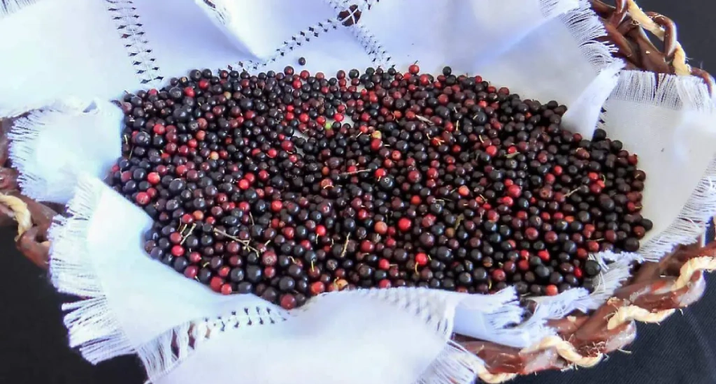 mermelada de cahuiche